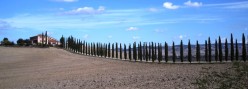 Le Crete di Torrenieri in inverno