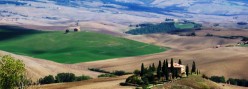 Un podere a est di Montalcino