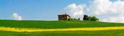 Splendidi colori di primavera