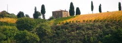 Tipico casale toscano fra le vigne