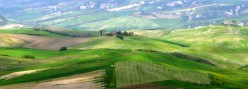 Le crete viste dalla strada per Montalcino