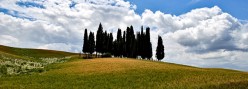 Il boschetto di cipressi simbolo della Valdorcia