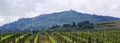 Montalcino in lontananza dalle vigne di Brunello a nord