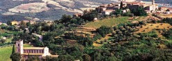 Il poggio di Castelnuovo dell'Abate