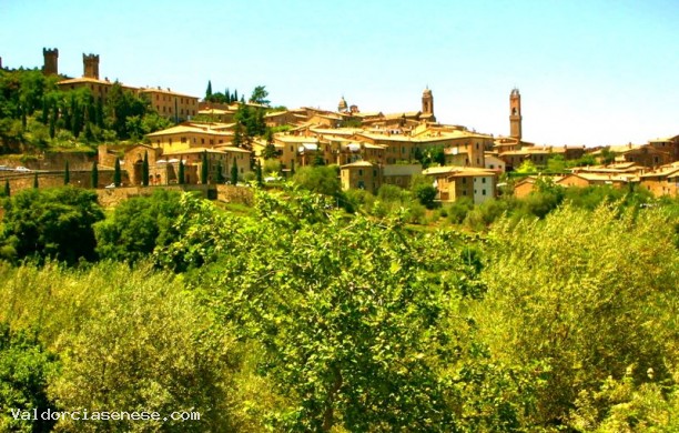 Between Montalcino and Torrenieri