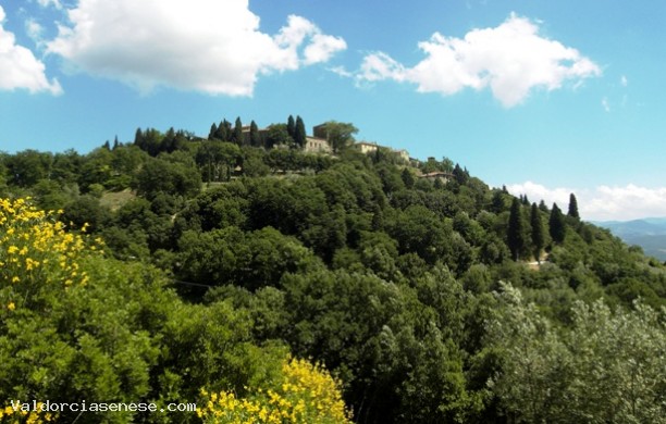 Montalcino, Camigliano, Poggio alle Mura, Argiano, Santa Restituta