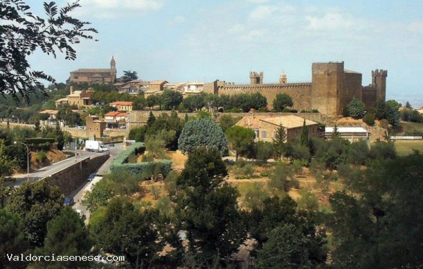 Tra i boschi ed i vigneti di Montalcino