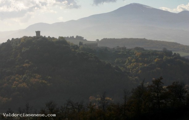 Vivo d'Orcia