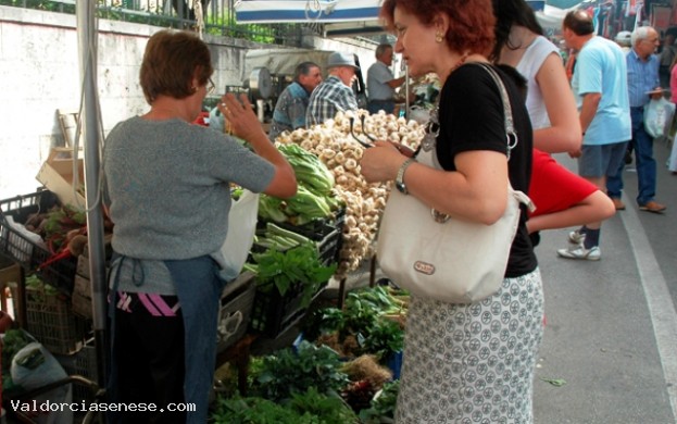 Mostra Mercato dell'agricoltura