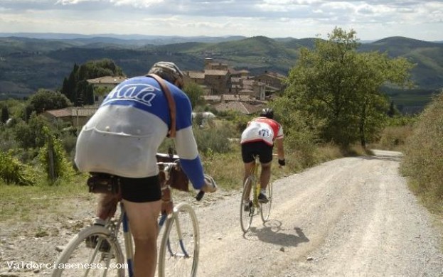 Gran Fondo Brunello - Manifestazione ciclistica
