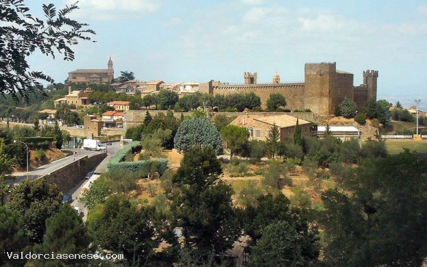 Premio di Poesia Il Vignolo