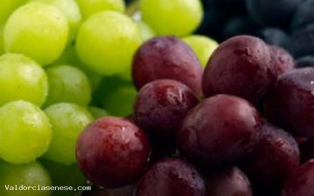 FESTA DELLA VENDEMMIA E DELLA CASTAGNA CON PALIO DEL BIGONZO