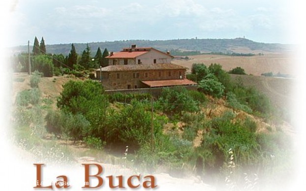 PODERE LA BUCA